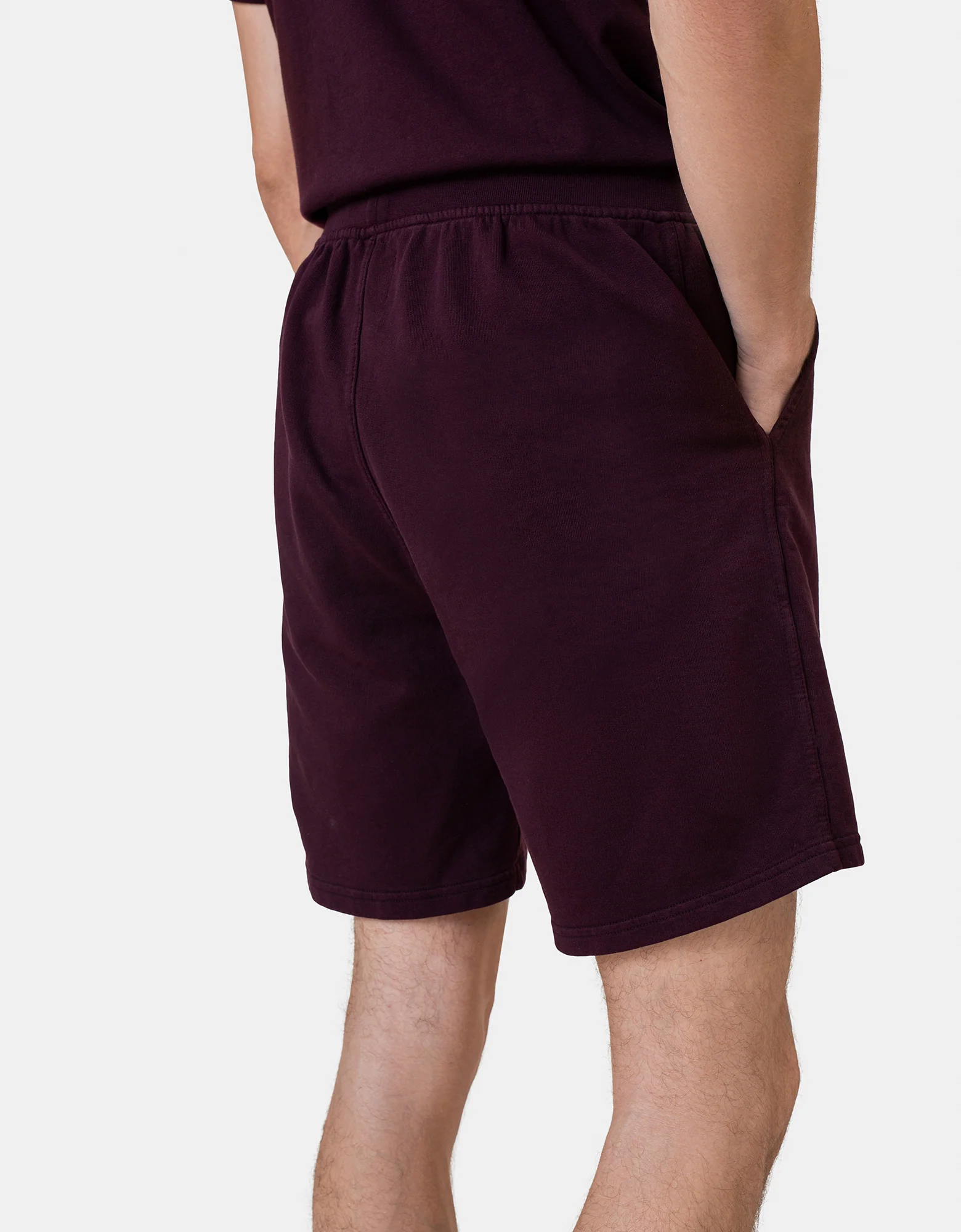 Classic Organic Sweatshorts - Powder Blue – Image 4