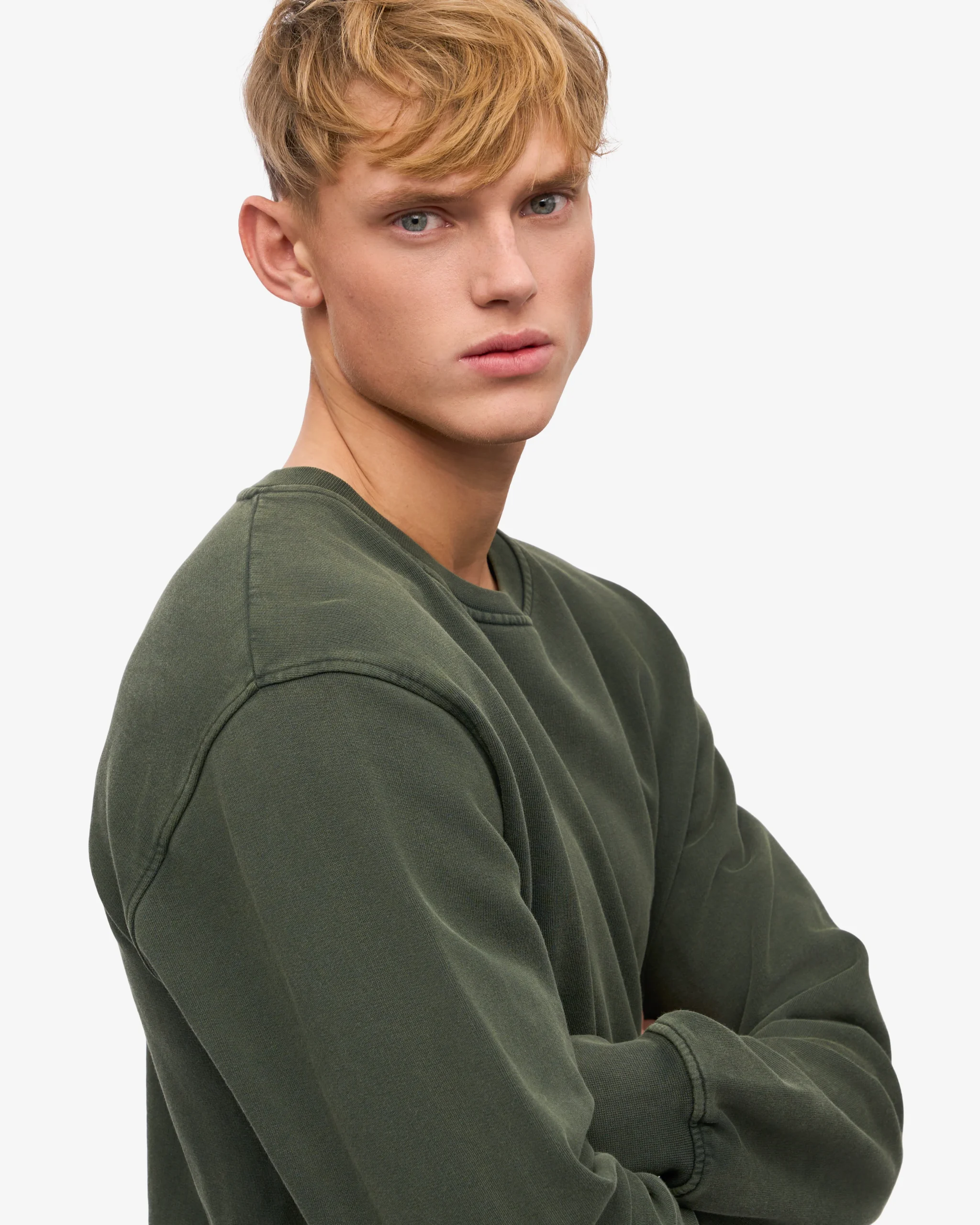 Classic Organic Crew - Midnight Forest – Image 6